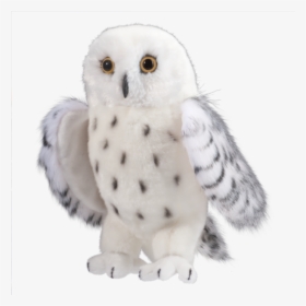 Lechuza De Harry Potter Peluche, HD Png Download - Owl Transparent PNG Free Download