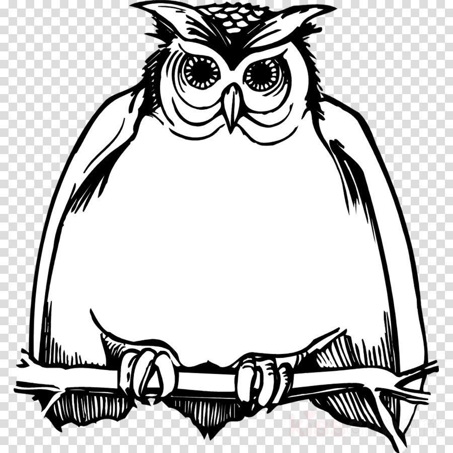 Download Owl Black And White Png Clipart Great Horned - Harry Potter Birthdays Owl - Free Transparent PNG Clipart Images Download. - Owl Transparent PNG Free Download