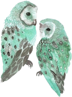 Tumblr N2c2h6eo9p1sksoifo1 - Cafepress Floral Owl Iphone 6/6s Tough Case Transparent PNG - 360x360 - Free Download on - Owl Transparent PNG Free Download