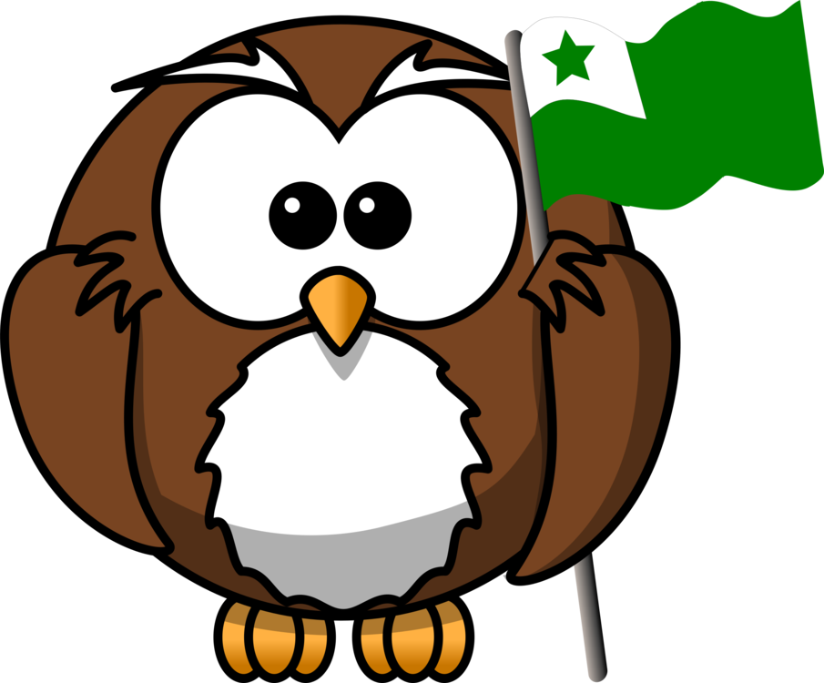 Owl Drawing Cartoon Bird Of Prey - Owl On Book Clipart - Free Transparent PNG Clipart Images Download. - Owl Transparent PNG Free Download