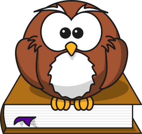 Cartoon Owl On Book Free Clip Art - Cartoon Owl Shower Curtain - Free Transparent PNG Clipart Images Download. - Owl Transparent PNG Free Download