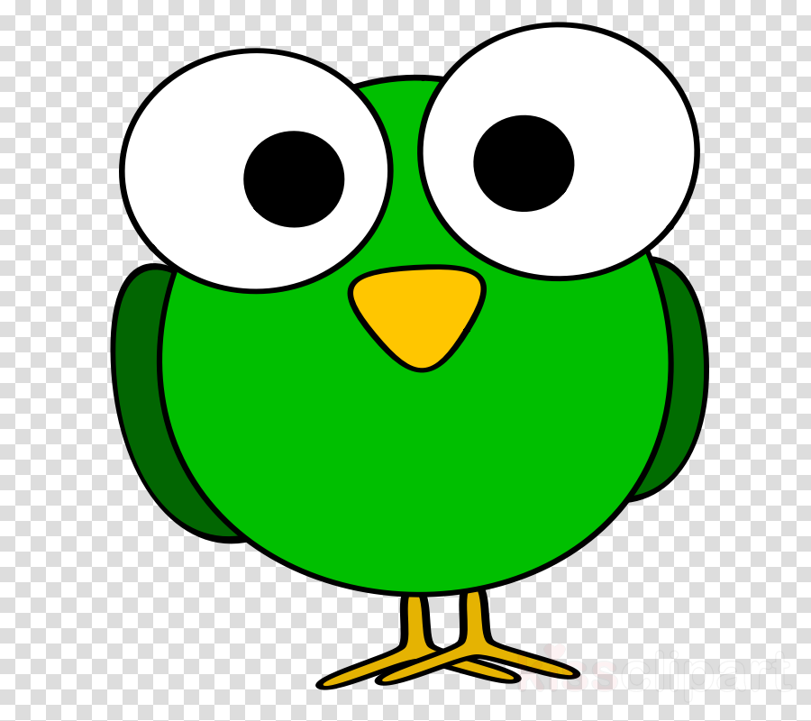 Birds With Big Eyes Clipart Bird Owl Clip Art - Bird's Eye Clip Art - Free Transparent PNG Clipart Images Download. - Owl Transparent PNG Free Download