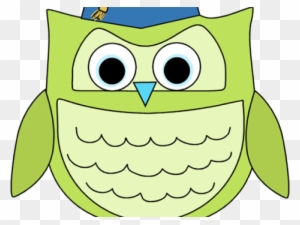 Graduation Clipart Owl - Clip Art - Free Transparent PNG Clipart Images Download. - Owl Transparent PNG Free Download