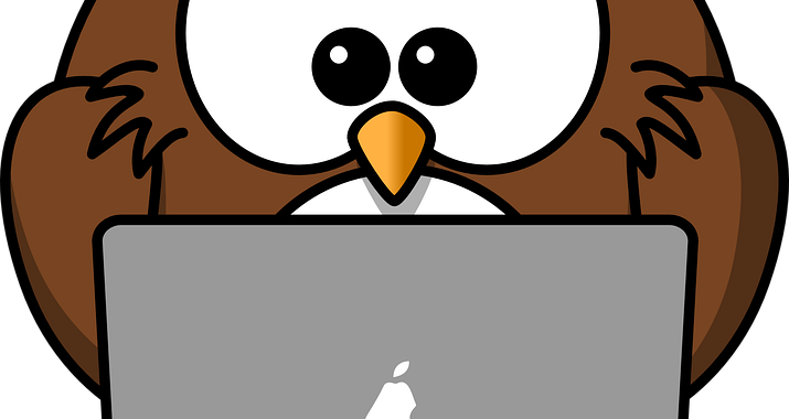 Struggling With Building Your Website - Cartoon Owl Shower Curtain - Free Transparent PNG Clipart Images Download. - Owl Transparent PNG Free Download
