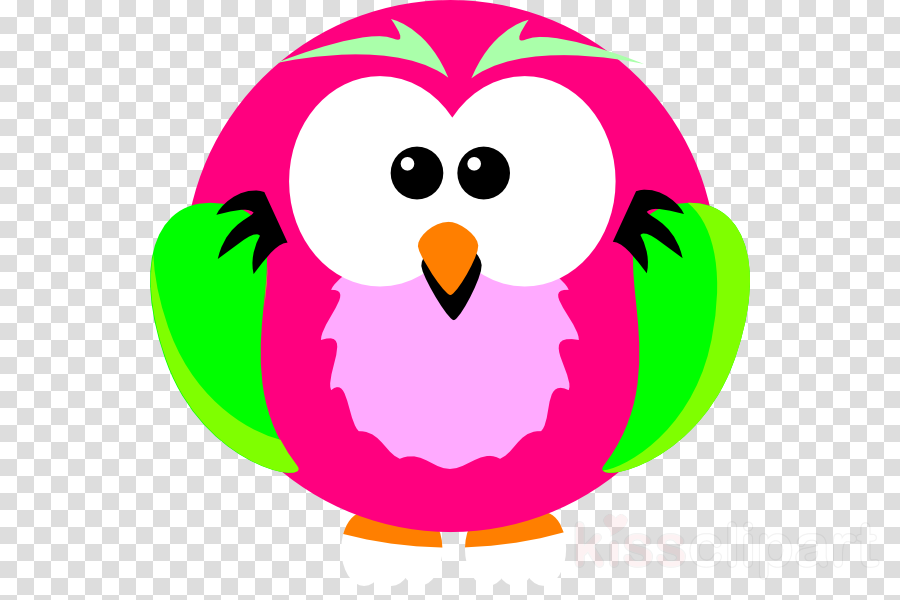 Owl Png Pink And Green Png Clipart Owl Clip Art - Owl Png Pink And Green Png Clipart Owl Clip Art - Free Transparent PNG Clipart Images Download. - Owl Transparent PNG Free Download