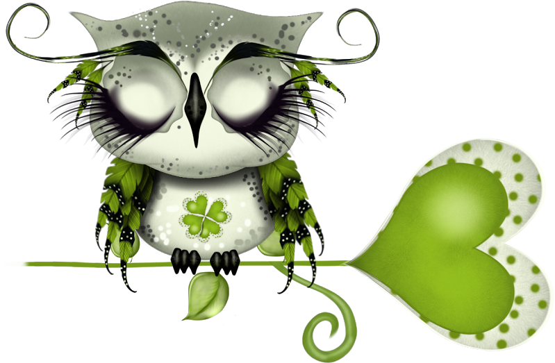 Cahier Journal, Cartoon Birds, Cute Owl, Owl Art, Osaka, - Cahier Journal, Cartoon Birds, Cute Owl, Owl Art, Osaka, - Free Transparent PNG Clipart Images Download. - Owl Transparent PNG Free Download