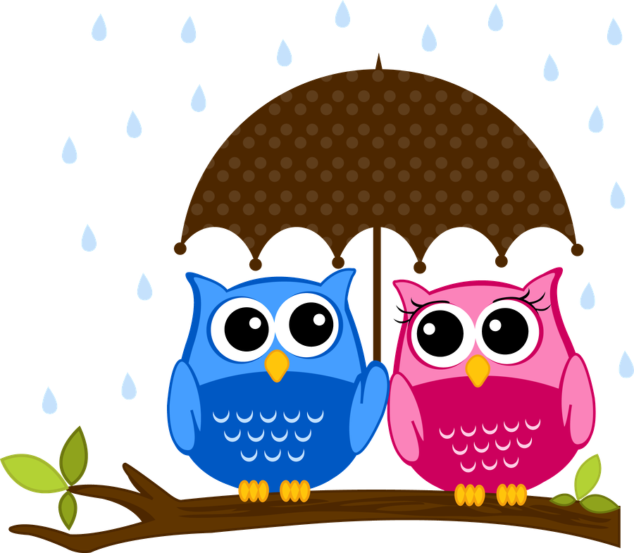 Family Clipart Owl - Family Clipart Owl - Free Transparent PNG Clipart Images Download. - Owl Transparent PNG Free Download