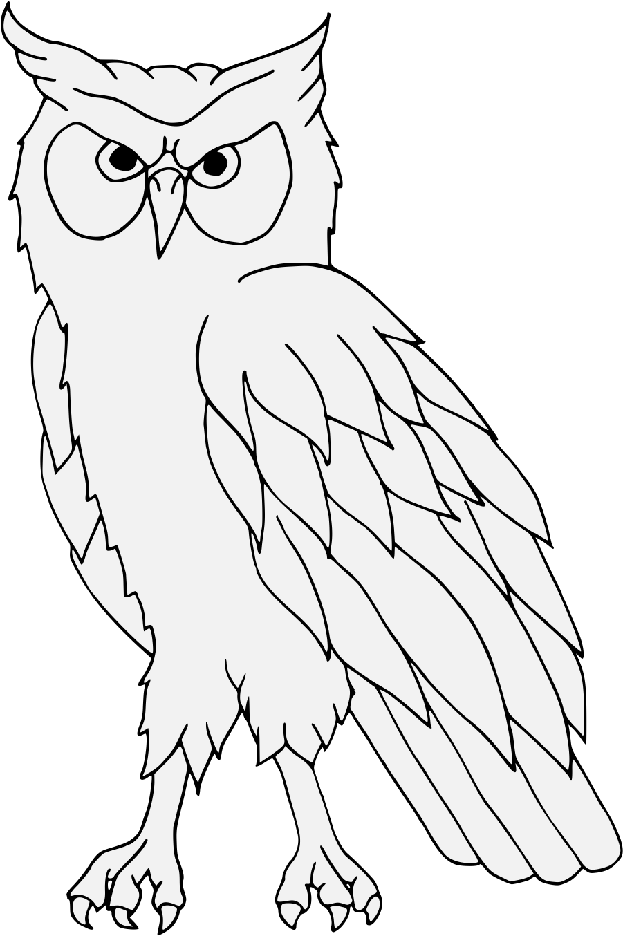 Owl Line Art Heraldry Free Frame - Gambar Burung Hantu Hitam Putih - Free Transparent PNG Clipart Images Download. - Owl Transparent PNG Free Download