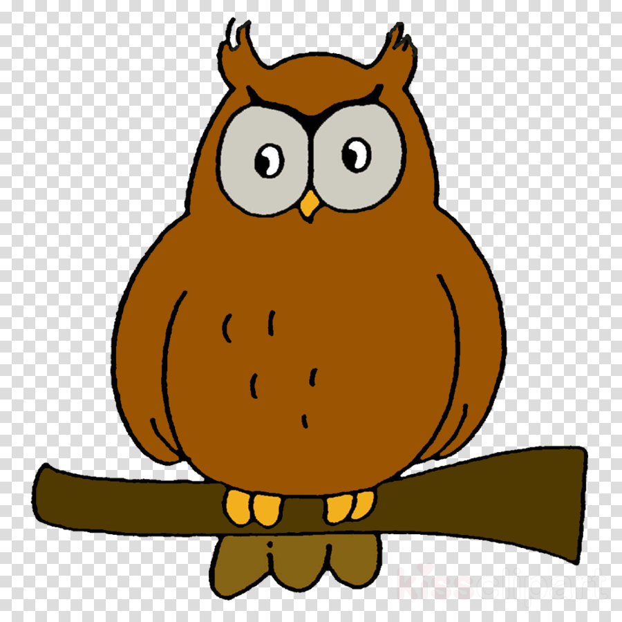 Owl Clipart Art Pre-school Clip Art - Thug Life Png Cap - Free Transparent PNG Clipart Images Download. - Owl Transparent PNG Free Download