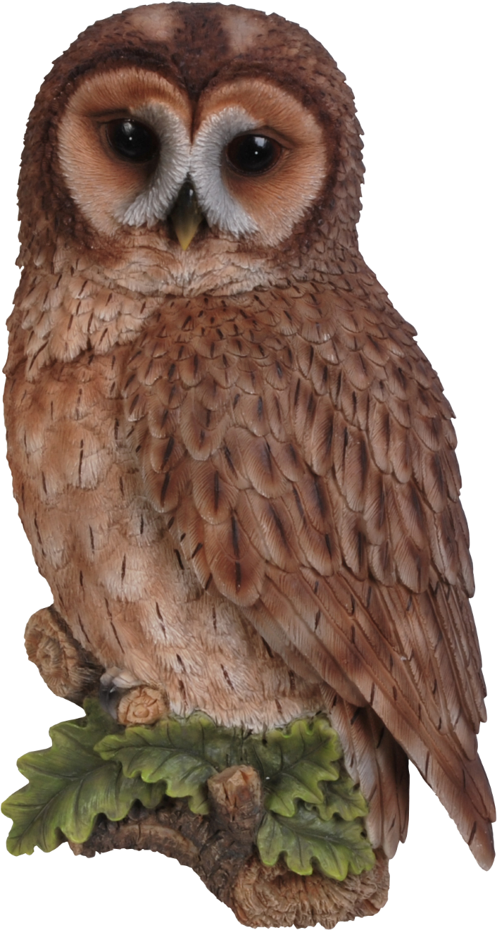 Owl Png Transparent - Vivid Arts Tawny Owl Plaque Transparent PNG - 1080x1523 - Free Download on - Owl Transparent PNG Free Download