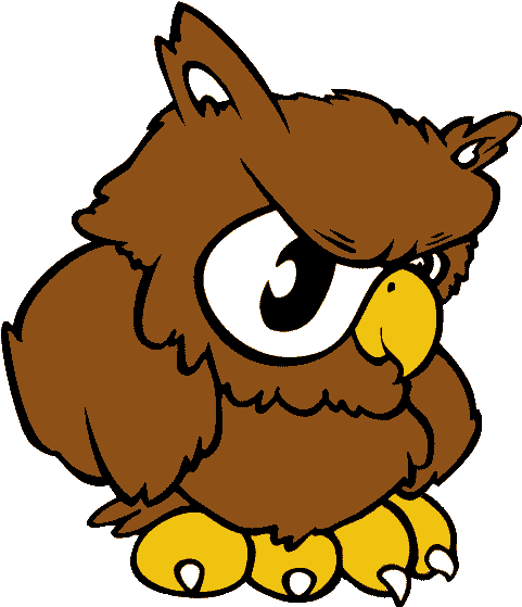 United States Air Force Ipt Associates - United States Air Force Ipt Associates - Free Transparent PNG Clipart Images Download. - Owl Transparent PNG Free Download