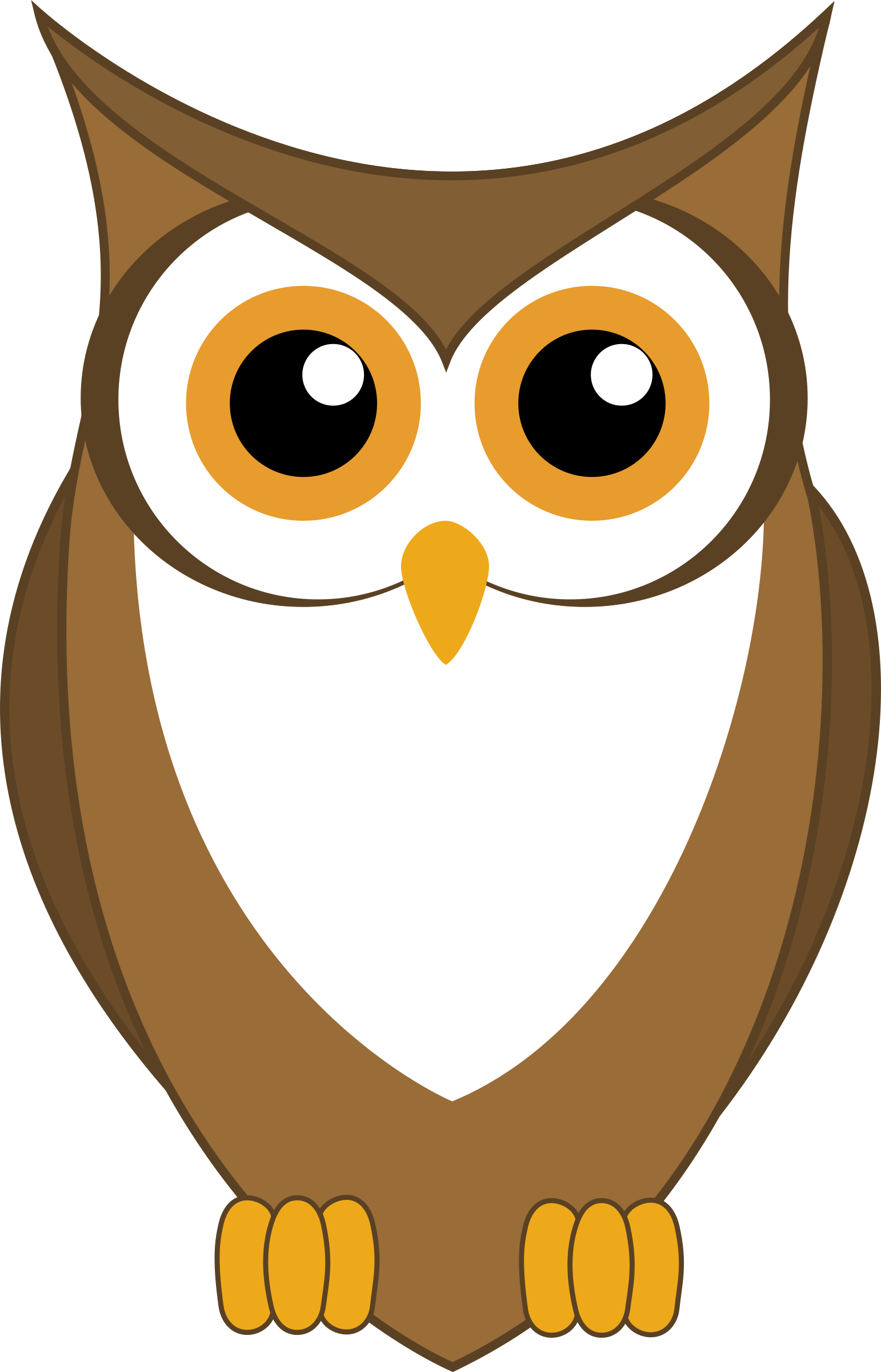 Clipart Of Baby Owl, Clipart Of Cute Owls, Clipart - Owl Vector - Free Transparent PNG Clipart Images Download. - Owl Transparent PNG Free Download