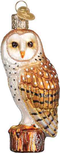 Barn Owl Ornament - Minnesota Golden Gophers Diploma Ornament, Multi Transparent PNG - 582x582 - Free Download on - Owl Transparent PNG Free Download