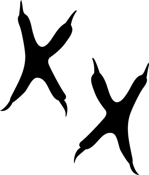 Owl Tracks Rubber Stamp Animal - Owl Tracks Rubber Stamp Animal - Free Transparent PNG Clipart Images Download. - Owl Transparent PNG Free Download