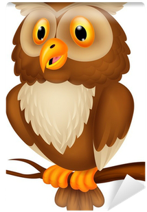 Cartoon Picture Of Owl - Free Transparent PNG Clipart Images Download. - Owl Transparent PNG Free Download