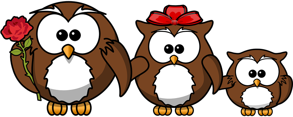 Owl Animal Bird Funny Family Father Mother - Funny Birthday Wishes For A Son - Free Transparent PNG Clipart Images Download. - Owl Transparent PNG Free Download