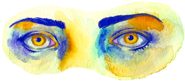 Owl, HD Png Download - Owl Transparent PNG Free Download