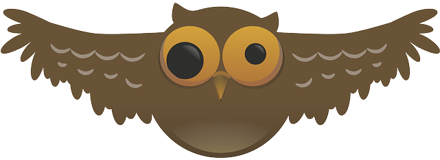 Owl, Weird, Bird, Nocturnal, Pupil, Wide, Flying, Wings - Cartoon Owl Png - Free Transparent PNG Clipart Images Download. - Owl Transparent PNG Free Download