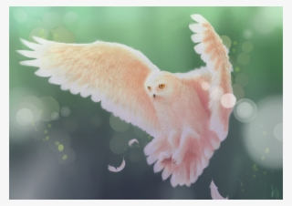 My Art Hedgesketch Doodles And Hedgehogs Owls Small Transparent PNG - 1280x905 - Free Download on - Owl Transparent PNG Free Download