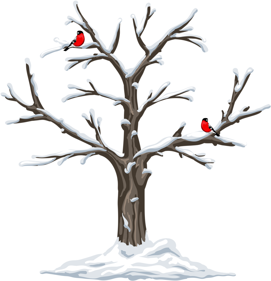 Garden Clipart, Weather Seasons, Clip Art, Christmas - Tree Four Seasons Clipart - Free Transparent PNG Clipart Images Download. - Owl Transparent PNG Free Download