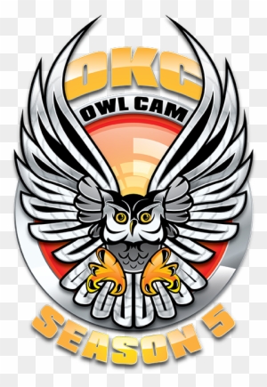 Owl Cam Home Owl Glossary - Owl - Free Transparent PNG Clipart Images Download. - Owl Transparent PNG Free Download