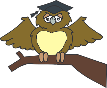 Owl Graduate Sitting Tree Branch Brown Wea - Owl Graduation Clip Art Png - Free Transparent PNG Clipart Images Download. - Owl Transparent PNG Free Download