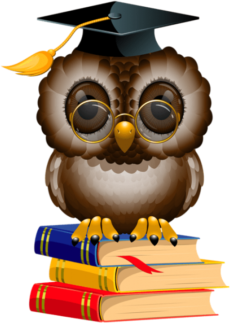 Free Png Download Owl With School Books And Cap Clipart - Owl Book Png Transparent PNG - 480x675 - Free Download on - Owl Transparent PNG Free Download