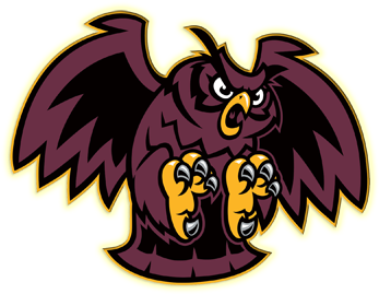 Coach Harvey Named Boys Lacrosse Cullen Division Coach - Park Ridge Owls Football - Free Transparent PNG Clipart Images Download. - Owl Transparent PNG Free Download