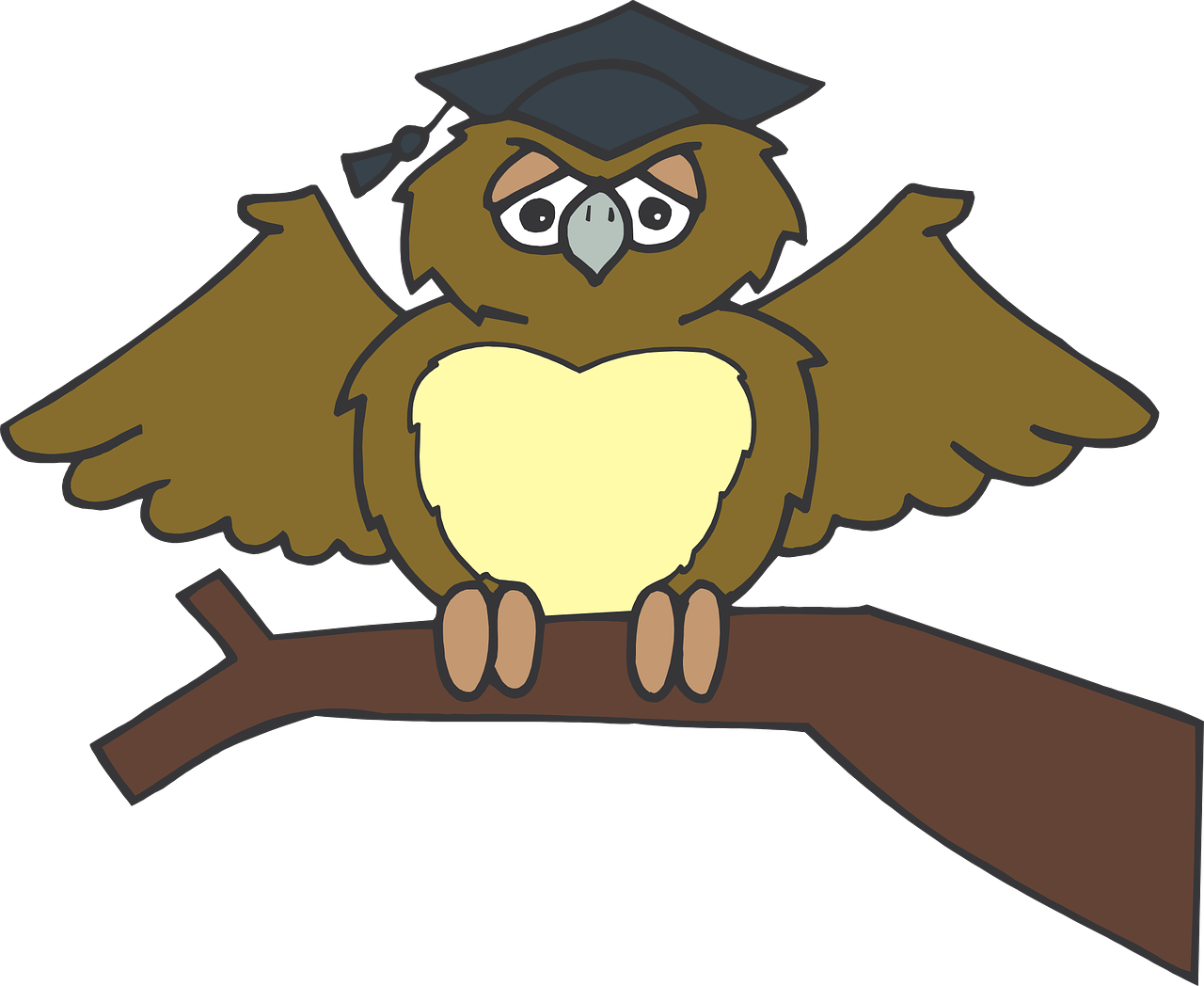Owl Graduate Sitting Tree Branch Brown Wearing - Owl Graduation Clip Art Png - Free Transparent PNG Clipart Images Download. - Owl Transparent PNG Free Download