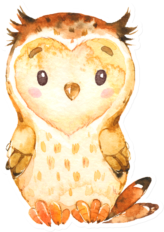Sticker That Kick Ass Watercolor Owl - Watercolor Painting Transparent PNG - 800x800 - Free Download on - Owl Transparent PNG Free Download