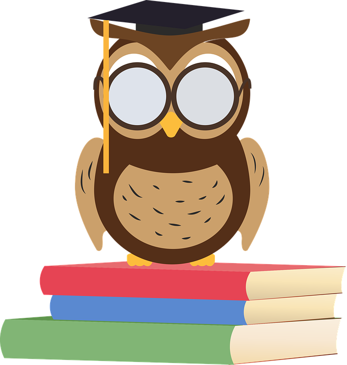 Valentines Owl Cliparts 2, Buy Clip Art - Valentines Owl Cliparts 2, Buy Clip Art - Free Transparent PNG Clipart Images Download. - Owl Transparent PNG Free Download