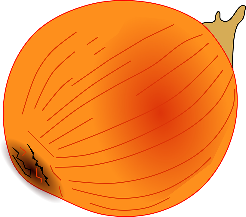 Vector Pumpkin - Gambar Vektor Gratis Buah Dan Sayur Kartun Png - Free Transparent PNG Clipart Images Download. - Pumpkin Transparent PNG Free Download