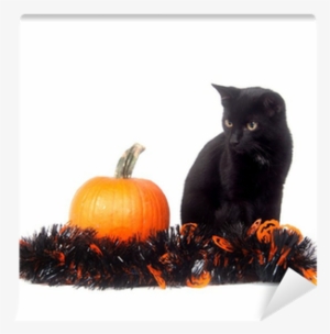 Black Cat With Pumpkin And Tinsel Wall Mural • Pixers® - Cat Transparent PNG - 400x400 - Free Download on - Pumpkin Transparent PNG Free Download