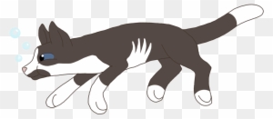 What You'd Like Added- He's A Cat, I'd Love The Pawprint - Cat Jumps - Free Transparent PNG Clipart Images Download. - Pumpkin Transparent PNG Free Download