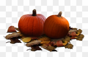 Pumpkin Patch Stock Png By Karahrobinson-art - Clip Art - Free Transparent PNG Clipart Images Download. - Pumpkin Transparent PNG Free Download
