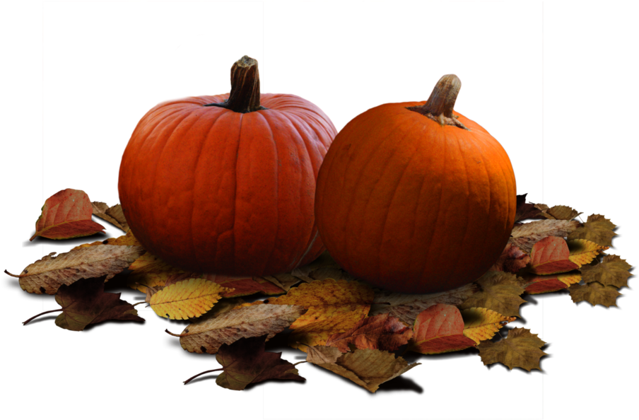Pumpkin Patch Stock Png By Karahrobinson-art - Clip Art - Free Transparent PNG Clipart Images Download. - Pumpkin Transparent PNG Free Download
