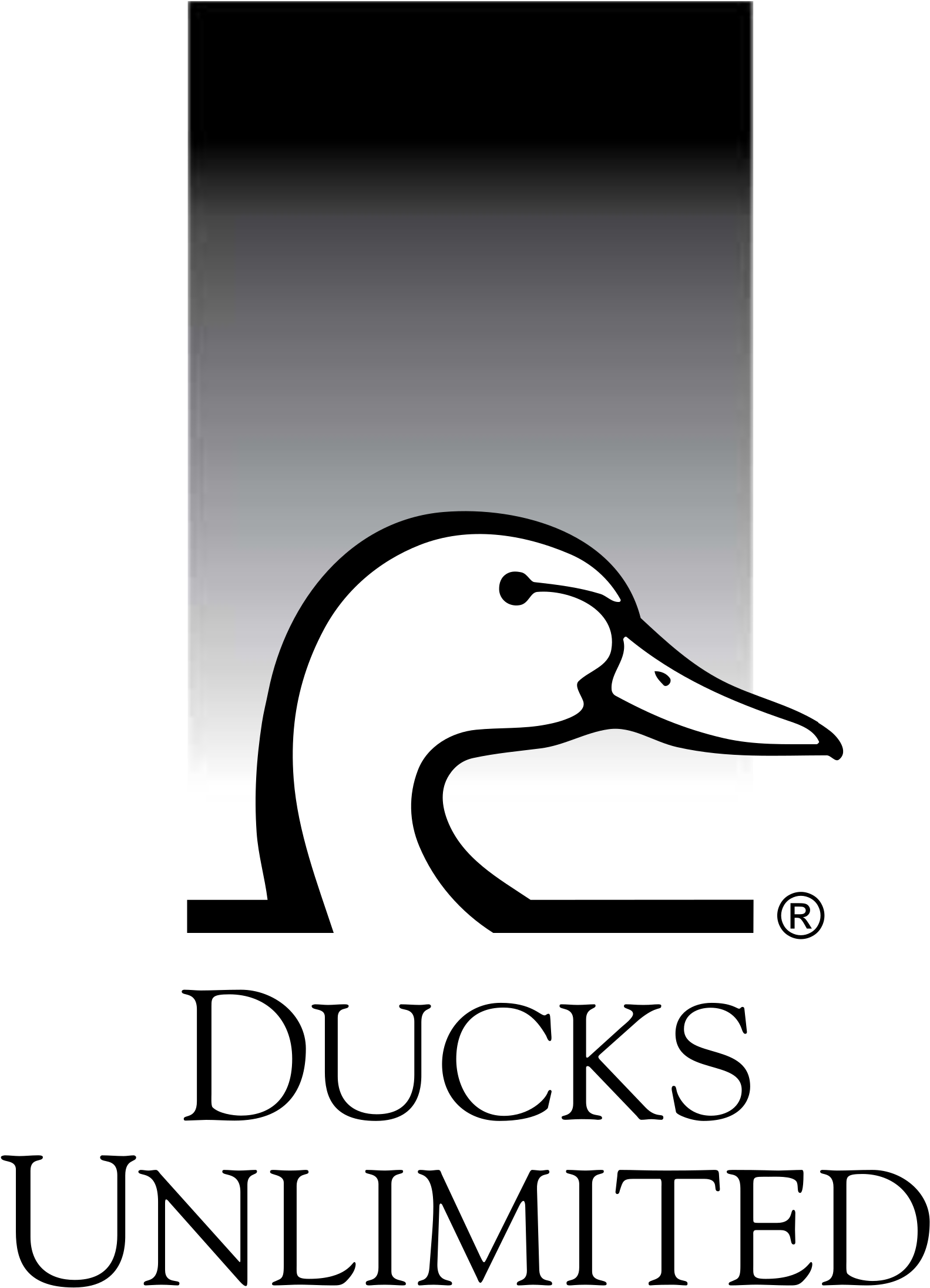 Ducks Unlimited Logo Png Transparent - Pumpkin Carving Ducks Unlimited Transparent PNG - 2400x2400 - Free Download on - Pumpkin Transparent PNG Free Download
