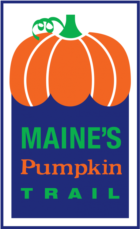 Fall Foliage Festival Pumpkin Carving Judges And Contest - Pumpkin Transparent PNG - 520x800 - Free Download on - Pumpkin Transparent PNG Free Download