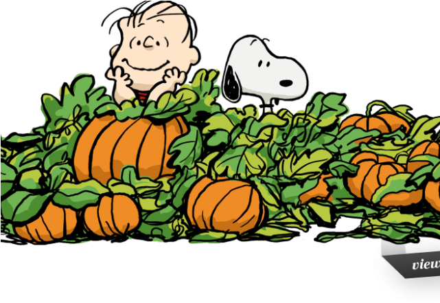 Peanut Clipart Autumn - Great Pumpkin Charlie Brown Clipart - Free Transparent PNG Clipart Images Download. - Pumpkin Transparent PNG Free Download
