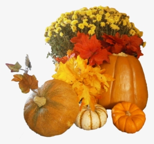 Free Thanksgiving Flowers And Pumpkins Png Image - Thanksgiving Pumpkins Png, Transparent - Pumpkin Transparent PNG Free Download