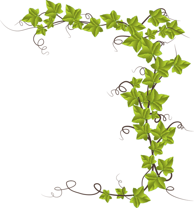 Pumpkin Vine Clipart - Monkeyshine Wine Mr. Right And Mrs. Always Right 15 - Free Transparent PNG Clipart Images Download. - Pumpkin Transparent PNG Free Download