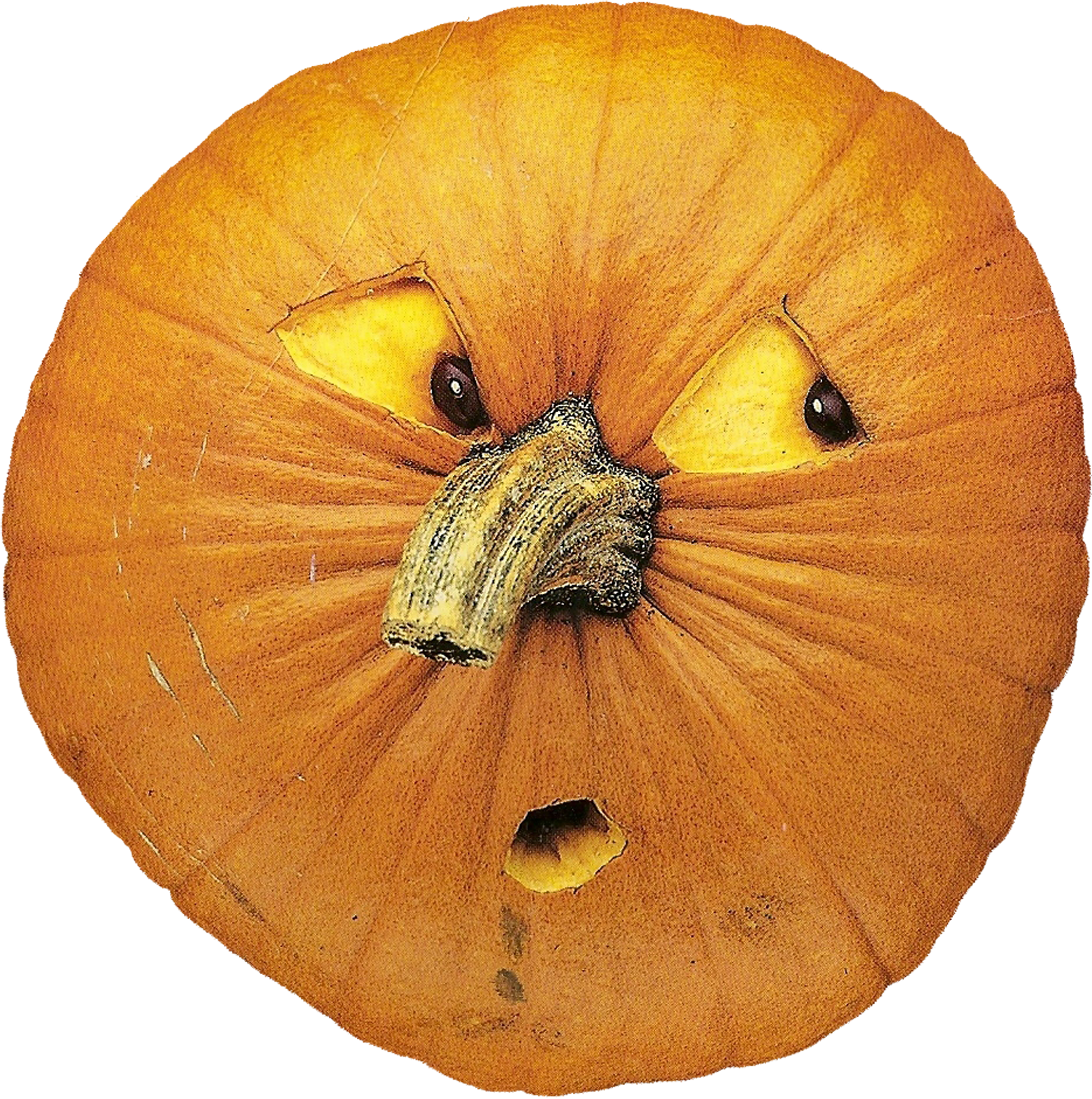 Sympathetic Pumpkin Reacts To A Poorly Carved Friend Transparent PNG - 2194x2244 - Free Download on - Pumpkin Transparent PNG Free Download