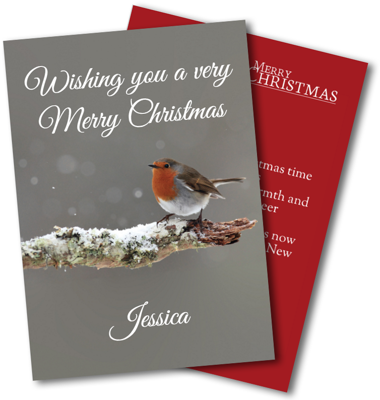 Christmas Greeting Cards - Snowman Family All In Glow Card Transparent PNG - 800x800 - Free Download on - Snowman Transparent PNG Free Download