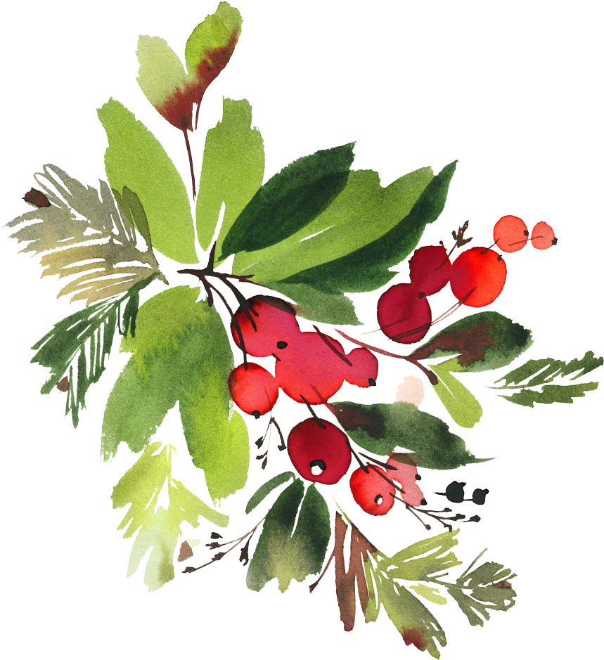 Snowman Watercolor Flowers Png - Christmas Holly Watercolour Clipart - Free Transparent PNG Clipart Images Download. - Snowman Transparent PNG Free Download