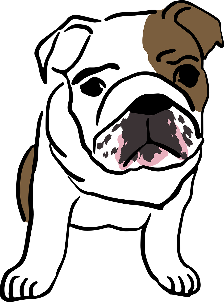 Sunday Fun Day The Dog Days Of Summer - Bulldog Ingles Desenho Png - Free Transparent PNG Clipart Images Download. - Summer Transparent PNG Free Download