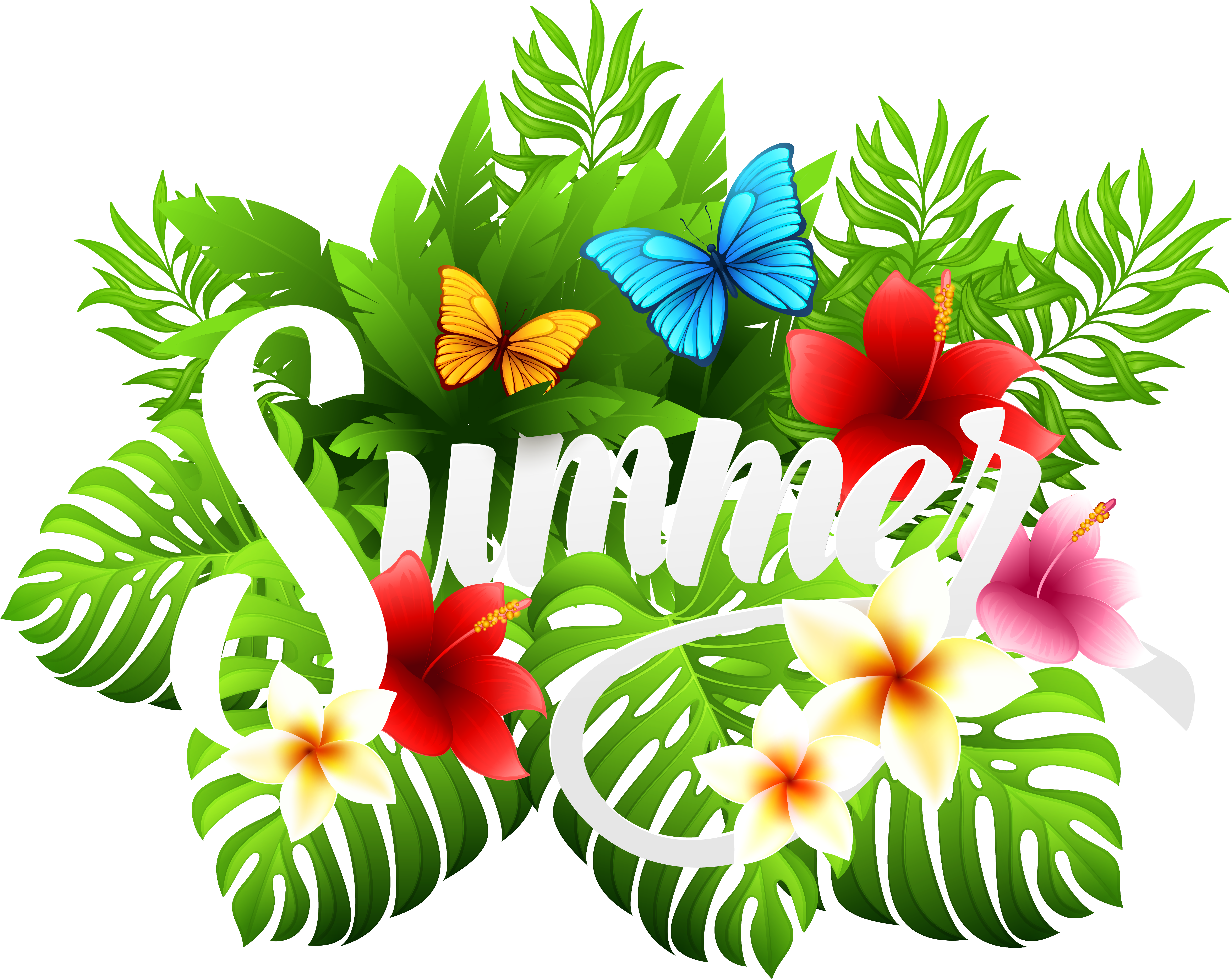 Summer Decorative Image Clipart - Summer Clip Art Png - Free Transparent PNG Clipart Images Download. - Summer Transparent PNG Free Download