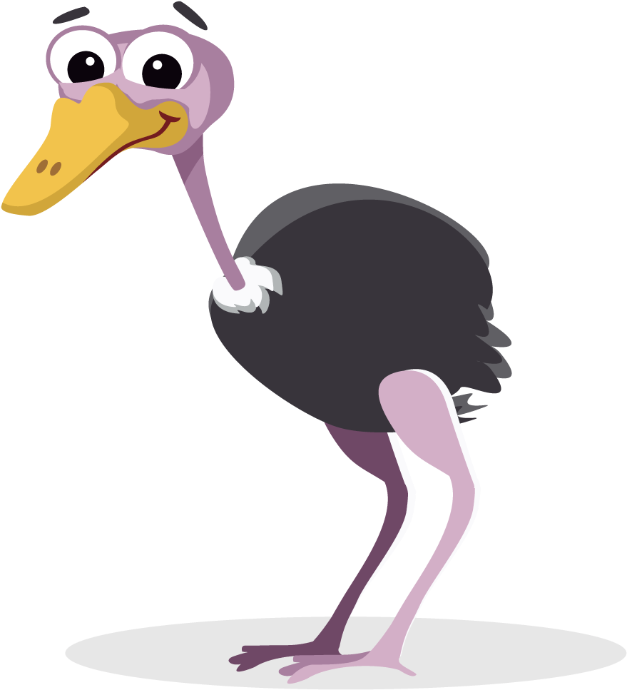 Will Fill The Weeks Ahead - Ostrich Clipart Png Transparent PNG - 1000x1000 - Free Download on - Summer Transparent PNG Free Download