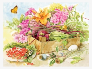 Summer Flowers - Marjolein Bastin Kalender 2019 Transparent PNG - 640x640 - Free Download on - Summer Transparent PNG Free Download