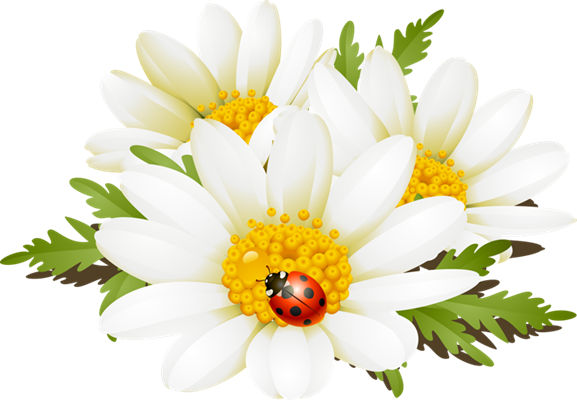 Summer Flowers Clip Art - Summer Flower Clip Art Transparent PNG - 577x400 - Free Download on - Summer Transparent PNG Free Download