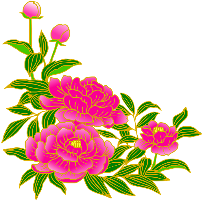 Peony, Pink, Gay, Flowers, Summer, Japanese Style - 芍薬 の 花 イラスト Transparent PNG - 720x720 - Free Download on - Summer Transparent PNG Free Download